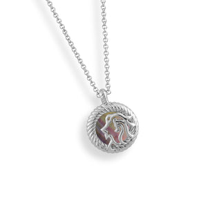 Silver Zodiac necklace (925 silver)