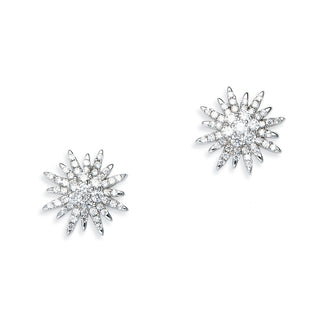 Tresor Silver pierced earrings (925 silver)